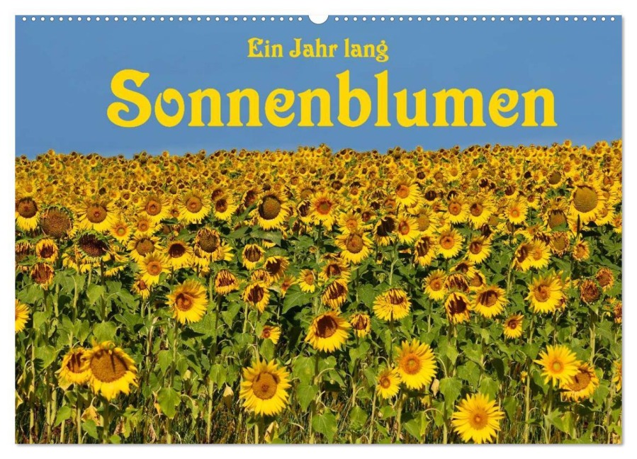 Ein Jahr lang Sonnenblumen (Wandkalender 2026 DIN A2 quer), CALVENDO Monatskalender - Anke van Wyk - www. germanpix. net