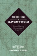 Cover-Bild zum Titel 'New Directions in Slavery Studies' von ''