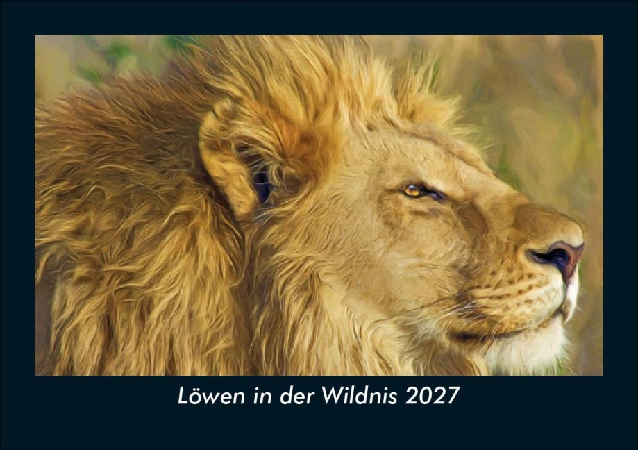 Löwen in der Wildnis 2027 Fotokalender DIN A5 - Tobias Schmitt, Kevin Heber