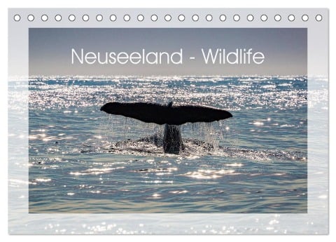 Neuseeland - Wildlife (Tischkalender 2024 DIN A5 quer), CALVENDO Monatskalender - Peter Schürholz
