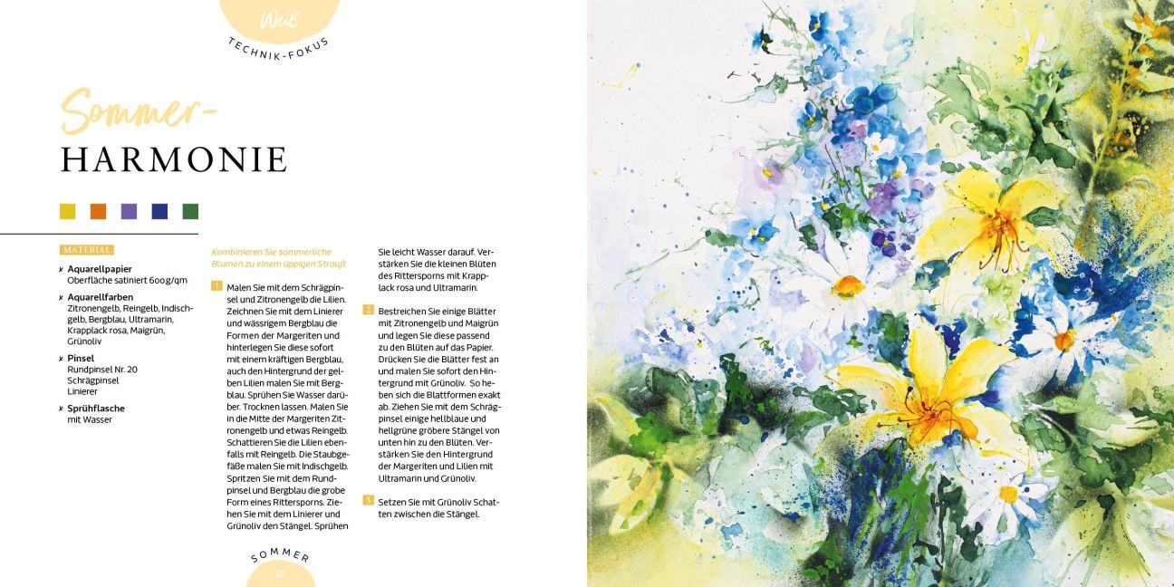 InsideView 6