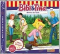 Cover-Bild zum Titel 'Folge 106:Hilfe für den Wald' von 'Bibi & Tina'