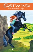 Cover-Bild zum Titel 'OSTWIND - Ein rätselhafter Unfall' von 'Rosa Schwarz'