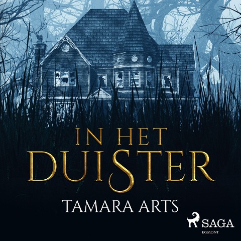 In het duister - Tamara Arts
