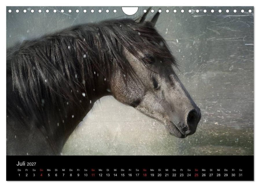 InsideView 12