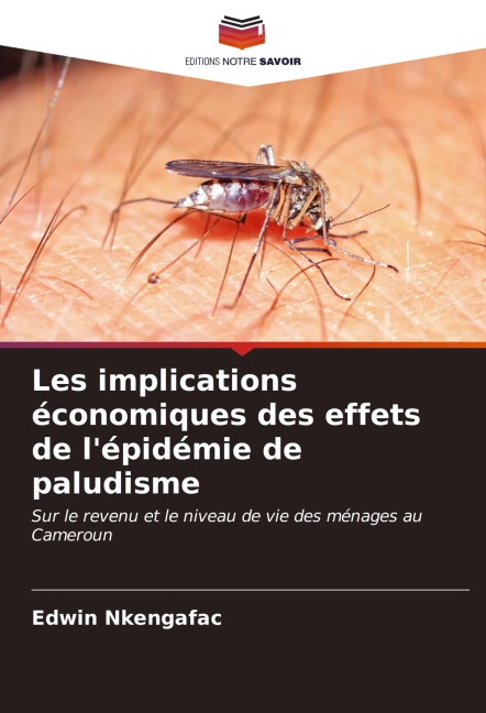 Les implications économiques des effets de l'épidémie de paludisme - Edwin Nkengafac