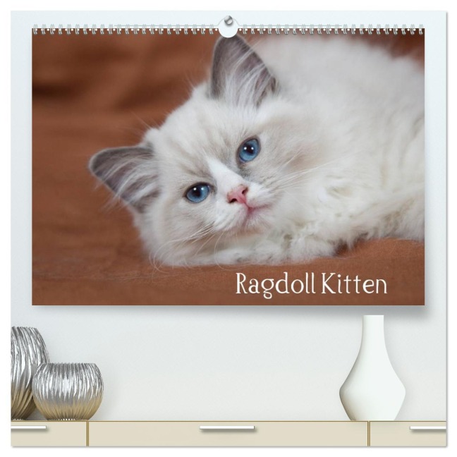 Ragdoll Kitten (hochwertiger Premium Wandkalender 2026 DIN A2 quer), Kunstdruck in Hochglanz - Fotodesign Verena Scholze