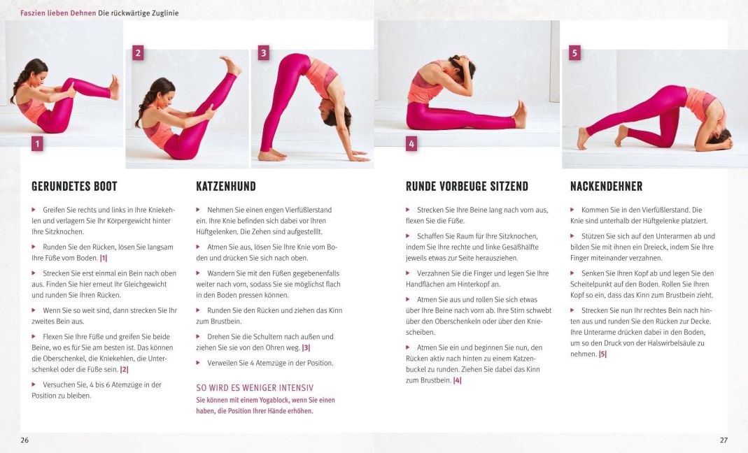InsideView 5
