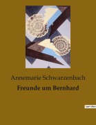 Cover-Bild zum Titel 'Freunde um Bernhard' von 'Annemarie Schwarzenbach'