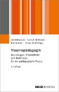 Cover-Bild zum Titel 'Traumapädagogik' von ''