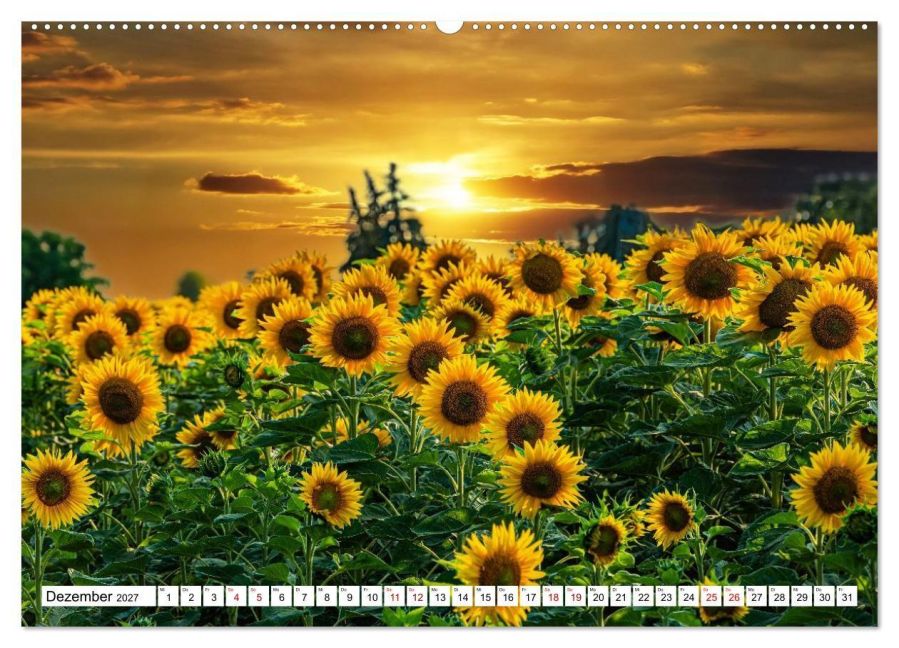 InsideView 4