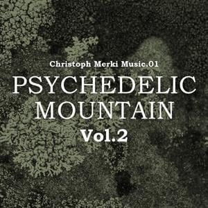 Psychedelic Mountain 2 - Various