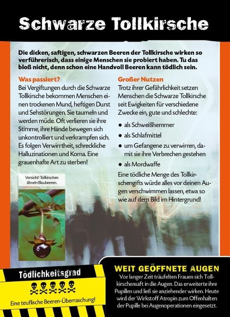 InsideView 4