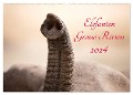 Elefanten - Graue Riesen (Wandkalender 2024 DIN A2 quer), CALVENDO Monatskalender - ©Kirsten Und Holger Karius