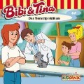 Cover-Bild zum Titel 'Folge 67:Das Tierarztpraktikum' von 'Bibi & Tina'