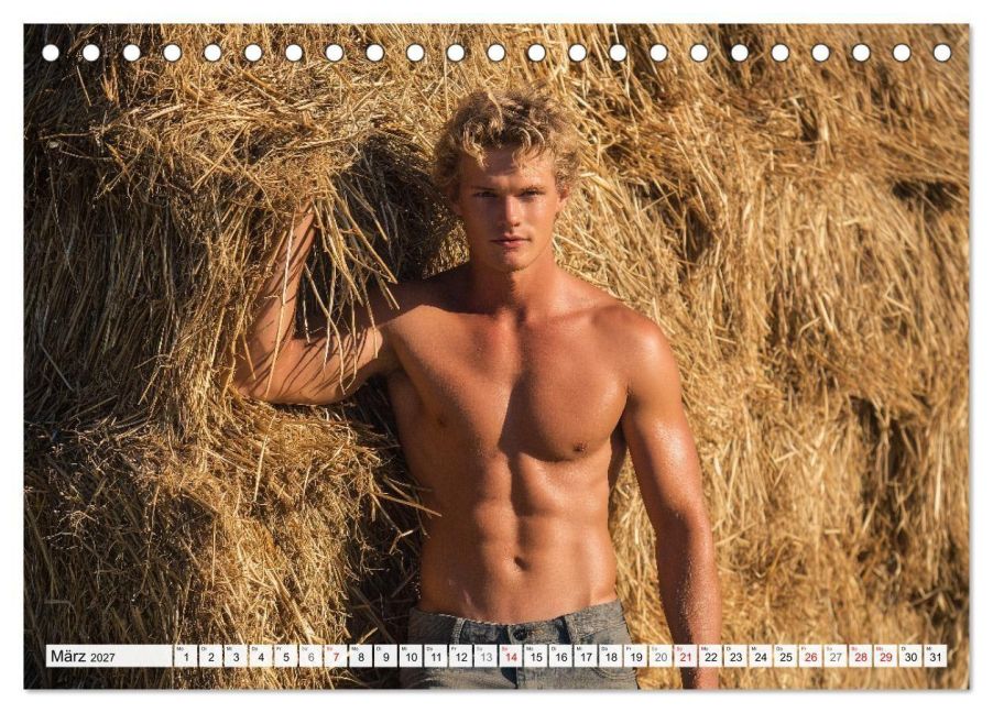 InsideView 8