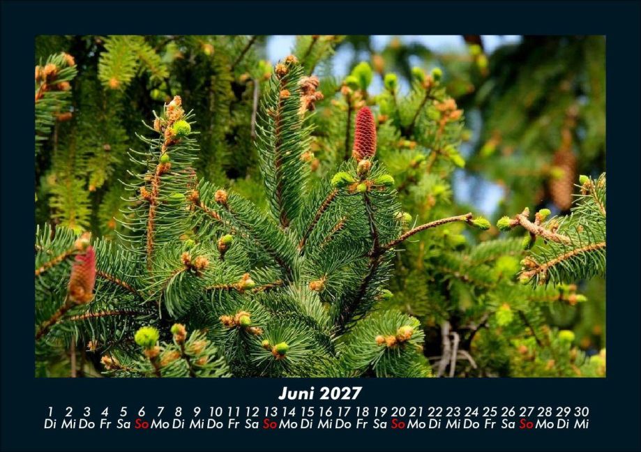 InsideView 10