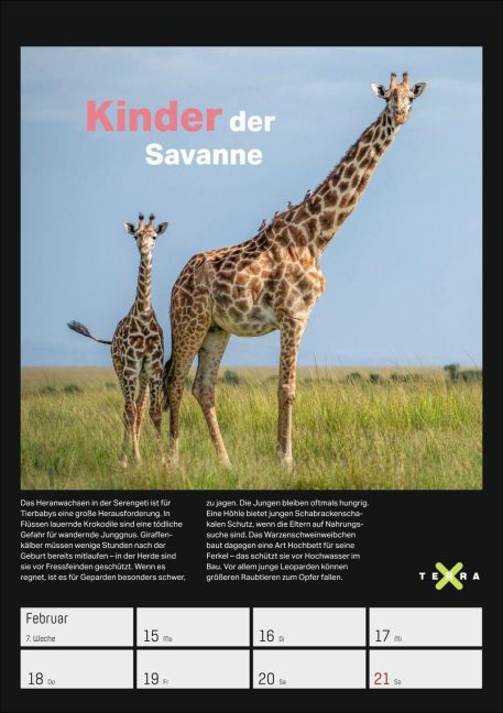 InsideView 8