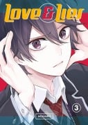 Cover-Bild zum Titel 'Love and Lies 3' von 'Musawo'