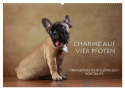 Charme auf vier Pfoten - Französische Bulldoggen Portraits (Wandkalender 2025 DIN A2 quer), CALVENDO Monatskalender - Jana Behr