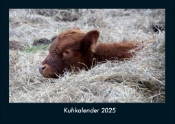 Cover-Bild zum Titel 'Kuhkalender 2025 Fotokalender DIN A4' von 'Tobias Becker'