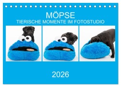 Cover-Bild zum Titel 'MÖPSE - tierische Momente im Fotostudio (Tischkalender 2026 DIN A5 quer), CALVENDO Monatskalender' von 'Ole Dodeck'
