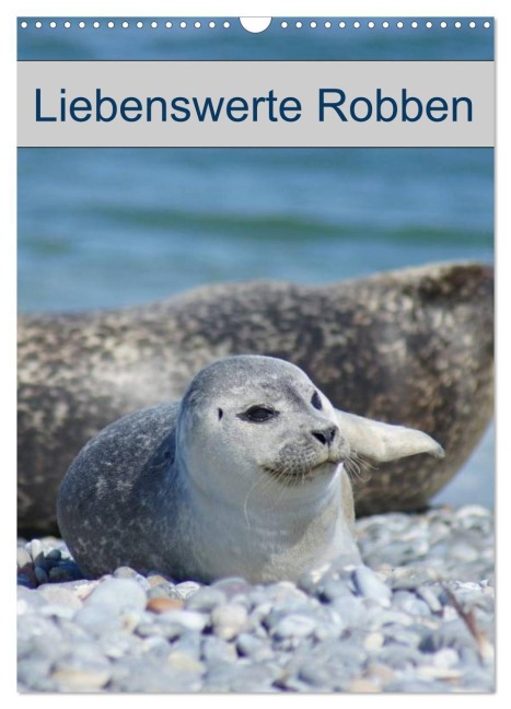 Liebenswerte Robben (Wandkalender 2026 DIN A3 hoch), CALVENDO Monatskalender - Kattobello Kattobello