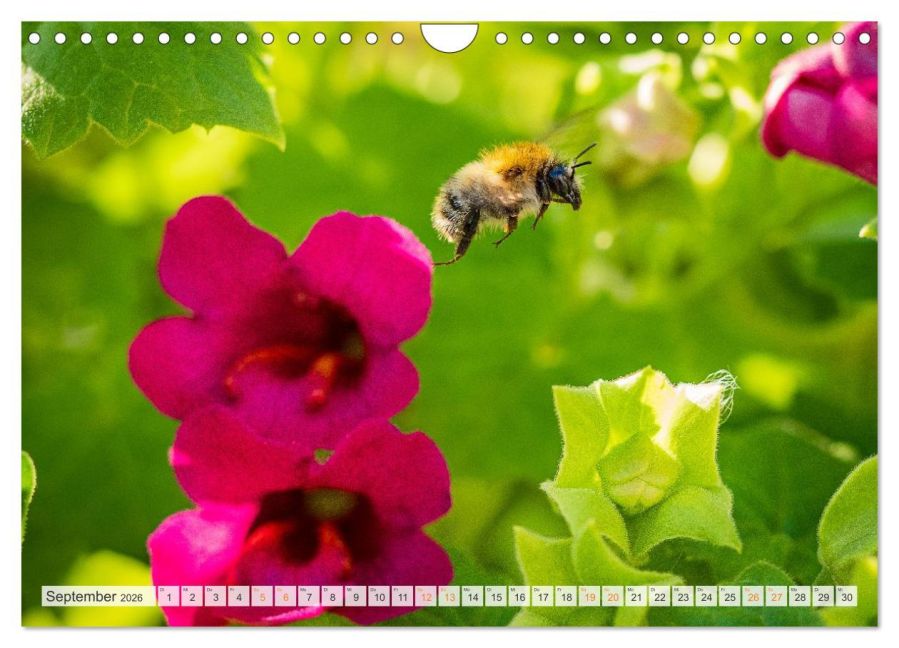 InsideView 14