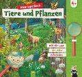 Mein Lupenbuch Tiere und Pflanzen - Sandra Noa, Marcus Würmli, Elina Roth, Schwager & Steinlein Verlag
