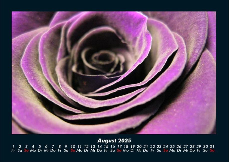 InsideView 12
