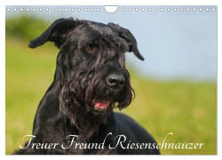 Cover-Bild zum Titel 'Treuer Freund Riesenschnauzer (Wandkalender 2026 DIN A4 quer), CALVENDO Monatskalender' von 'Sigrid Starick'