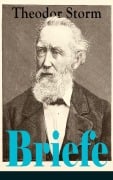 Cover-Bild zum Titel 'Briefe' von 'Theodor Storm'