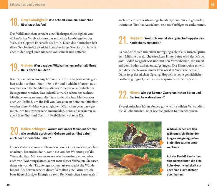 InsideView 5