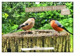 Herr und Frau Gimpel - Stammgäste im Garten (Wandkalender 2025 DIN A4 quer), CALVENDO Monatskalender - Henning von Löwis of Menar