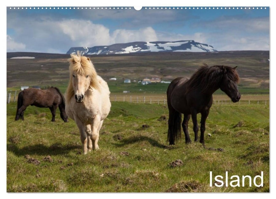 Island (Wandkalender 2025 DIN A2 quer), CALVENDO Monatskalender - Helmut Gulbins