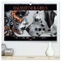 Dalmatinergirls (hochwertiger Premium Wandkalender 2025 DIN A2 quer), Kunstdruck in Hochglanz - Cathrin Illgen