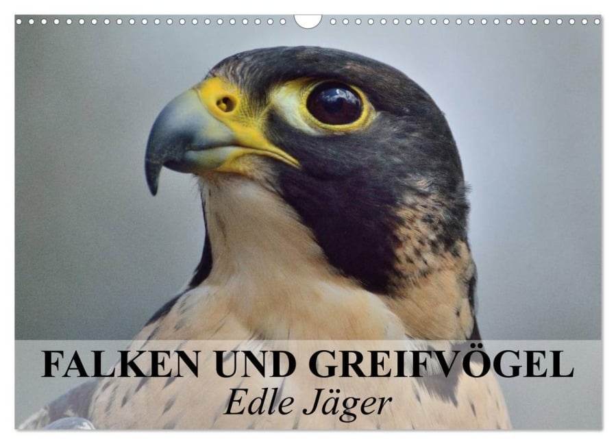 Falken und Greifvögel. Edle Jäger (Wandkalender 2025 DIN A3 quer), CALVENDO Monatskalender - Elisabeth Stanzer