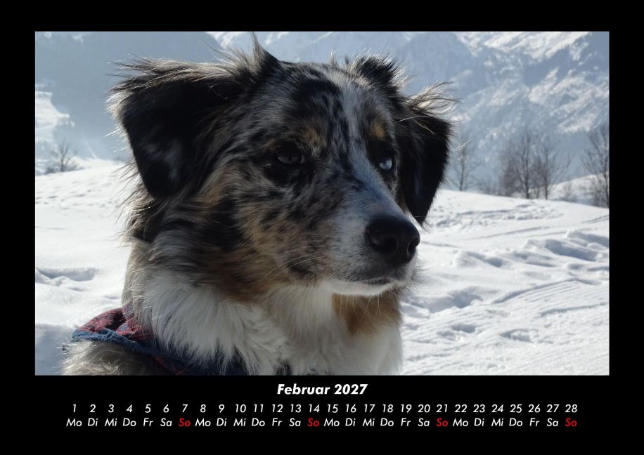 InsideView 6