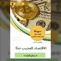 Cover-Bild zum Titel 'Summary of the very strange economy book' von 'Stephen Levit'