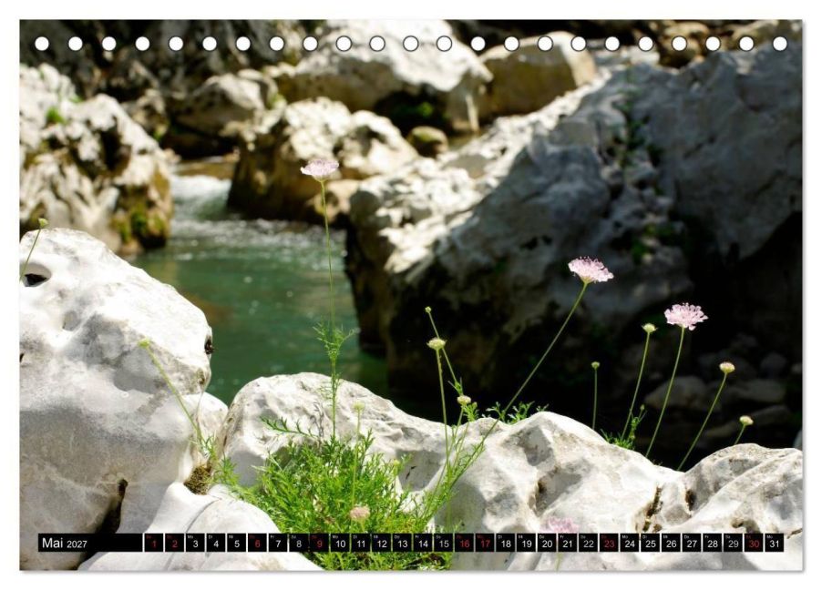 InsideView 10