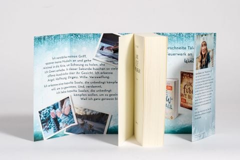 InsideView 4