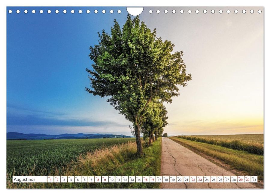InsideView 13