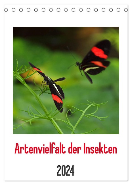 Artenvielfalt der Insekten (Tischkalender 2024 DIN A5 hoch), CALVENDO Monatskalender - Dagmar Laimgruber