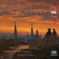 Cover-Bild zum Titel 'Pan flute and Organ' von 'Sebastian/Gehring Pachel'