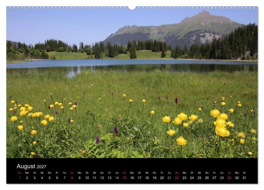 InsideView 10