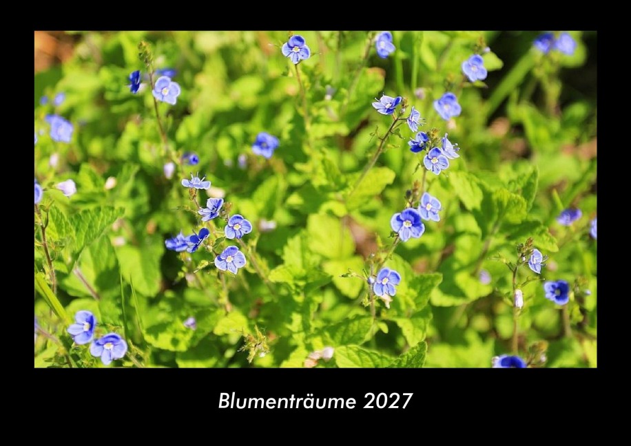 Blumenträume 2027 Fotokalender DIN A3 - Tobias Becker