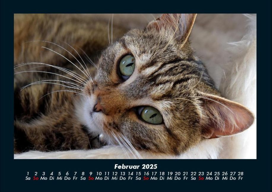 InsideView 6