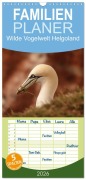 Cover-Bild zum Titel 'Familienplaner 2026 - Wilde Vogelwelt Helgoland mit 5 Spalten (Wandkalender, 21 x 45 cm) CALVENDO' von 'Angelika Meister'