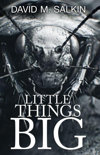 Little Things Big - David M Salkin