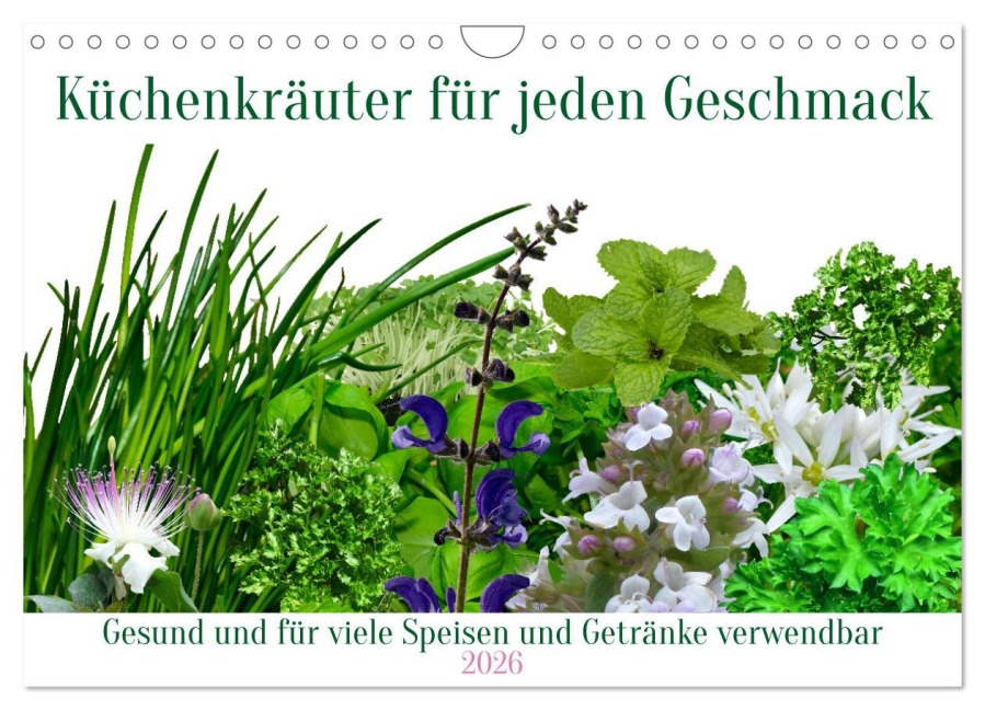 Küchenkräuter für jeden Geschmack (Wandkalender 2026 DIN A4 quer), CALVENDO Monatskalender - Claudia Kleemann